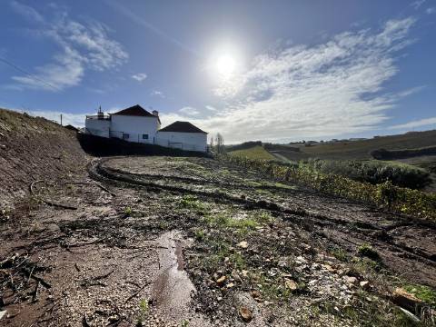 Terreno Urbano - Ventosa