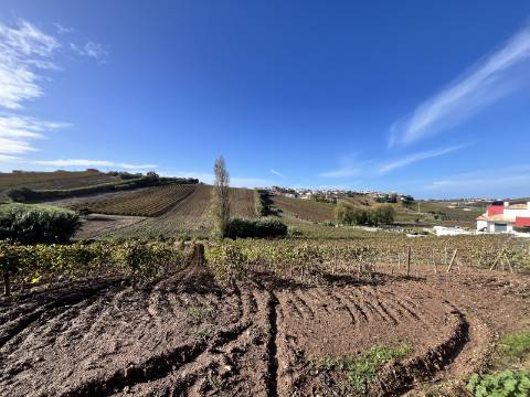 Terreno Urbano - Ventosa