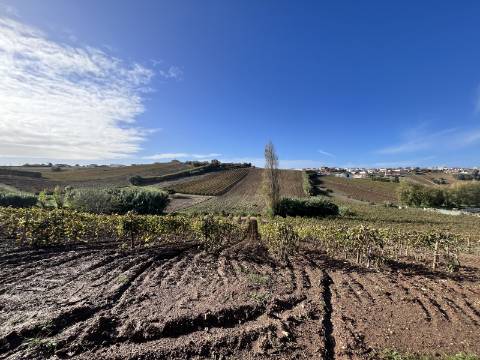 Terreno Urbano - Ventosa