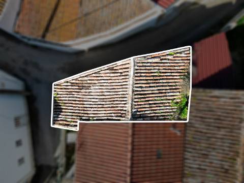 Adega próxima do Campo Real