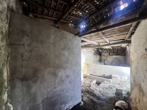 Adega próxima do Campo Real