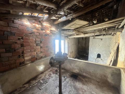 Adega próxima do Campo Real