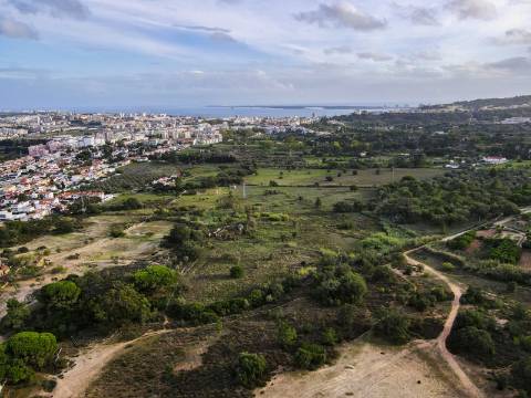 Quinta Valverde: Uma Experiência Única de Vida