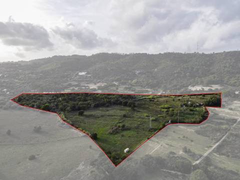 Quinta Valverde: Uma Experiência Única de Vida