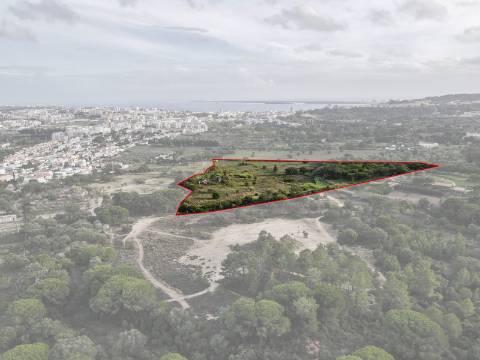 Quinta Valverde: Uma Experiência Única de Vida