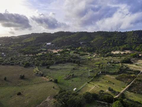 Quinta Valverde: Uma Experiência Única de Vida