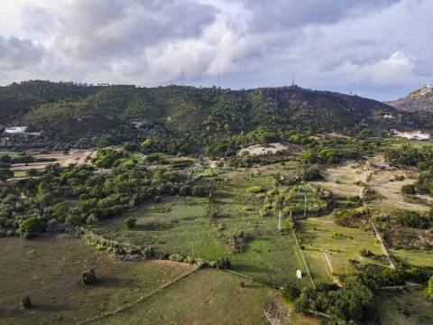 Quinta Valverde: Uma Experiência Única de Vida