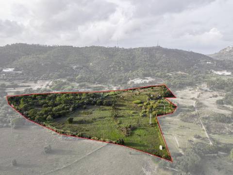 Quinta Valverde: Uma Experiência Única de Vida