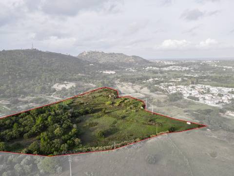 Quinta Valverde: Uma Experiência Única de Vida