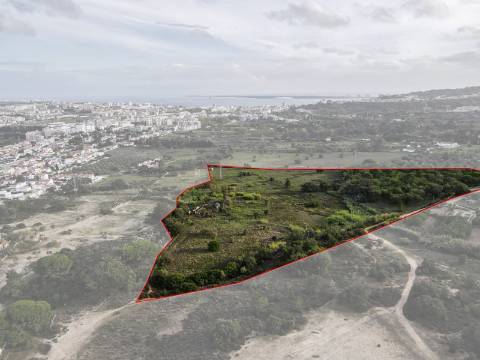 Quinta Valverde: Uma Experiência Única de Vida