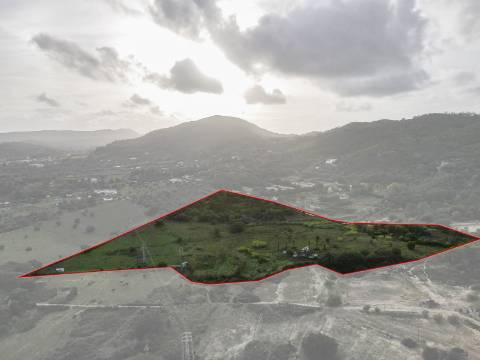 Quinta Valverde: Uma Experiência Única de Vida