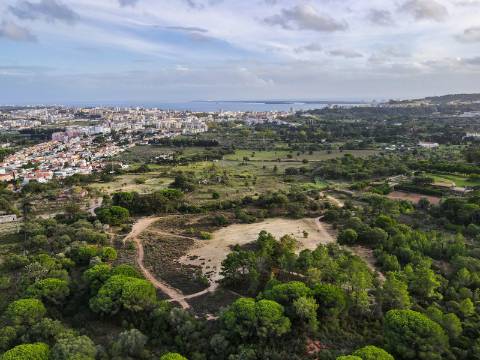 Quinta Valverde: Uma Experiência Única de Vida