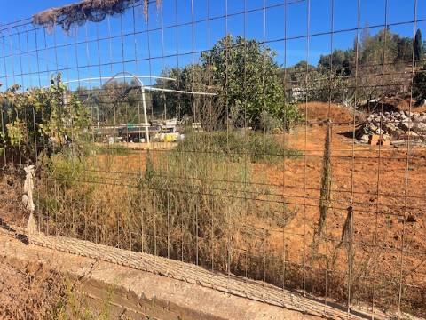 Terreno de quase 1 hectar em Portimao com projeto de Construção