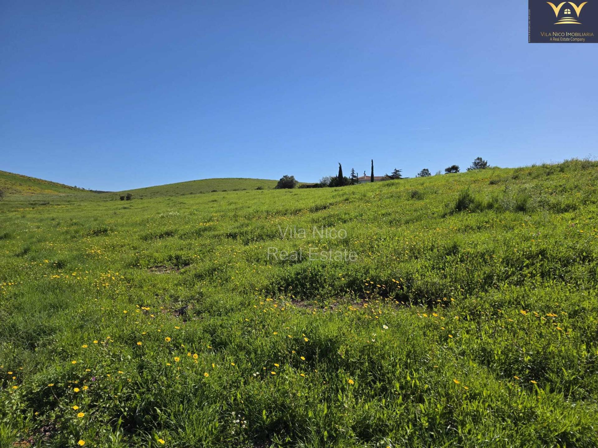 Casa com Lote de 9910 m2 com agua, luz e Saneamento