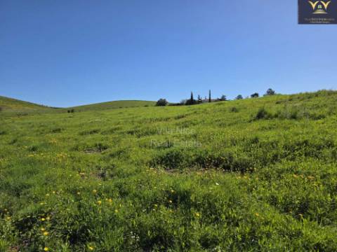 Casa com Lote de 9910 m2 com agua, luz e Saneamento