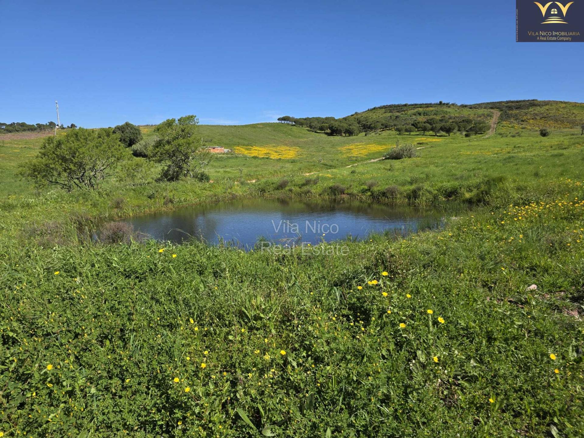 Casa com Lote de 9910 m2 com agua, luz e Saneamento