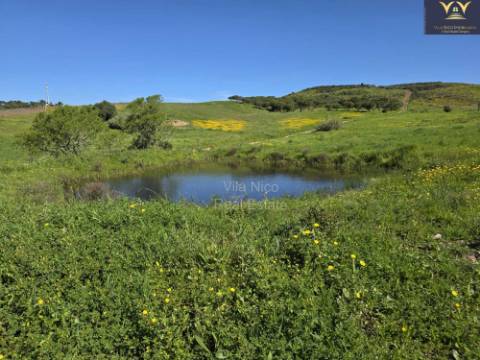 Casa com Lote de 9910 m2 com agua, luz e Saneamento
