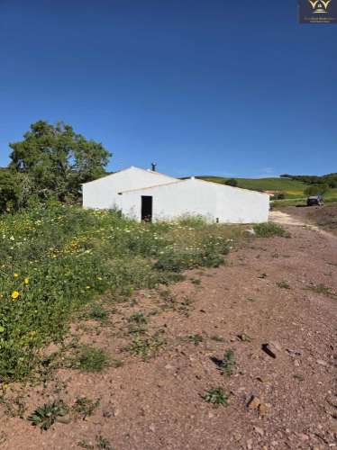 Casa com Lote de 9910 m2 com agua, luz e Saneamento