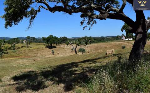 Propriedade Distinta na Sernadinha com Ambiente Natural Único com 10 000m2 e chão aquecido