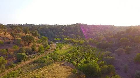 Terreno Misto com 284.600m2 em Azinhal, Castro Marim no Algarve.