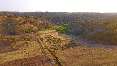 Terreno Misto com 284.600m2 em Azinhal, Castro Marim no Algarve.