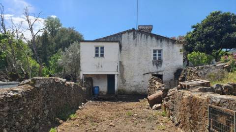 Quinta com casa de 3 assoalhadas no Pisão Novo, São Salvador da Aramenha