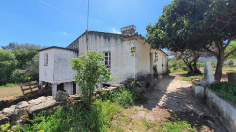 Quinta com casa de 3 assoalhadas no Pisão Novo, São Salvador da Aramenha