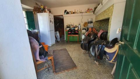 Quinta com casa de 3 assoalhadas no Pisão Novo, São Salvador da Aramenha