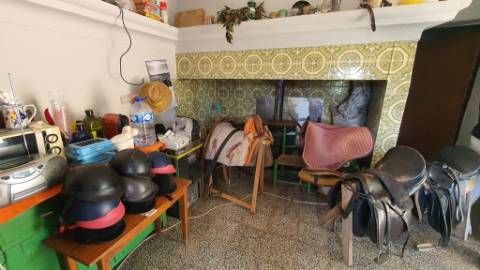 Quinta com casa de 3 assoalhadas no Pisão Novo, São Salvador da Aramenha