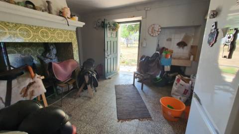 Quinta com casa de 3 assoalhadas no Pisão Novo, São Salvador da Aramenha