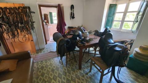 Quinta com casa de 3 assoalhadas no Pisão Novo, São Salvador da Aramenha