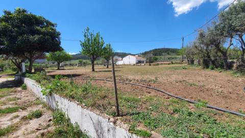 Quinta com casa de 3 assoalhadas no Pisão Novo, São Salvador da Aramenha