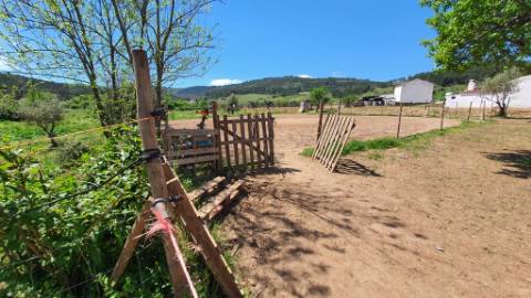 Quinta com casa de 3 assoalhadas no Pisão Novo, São Salvador da Aramenha