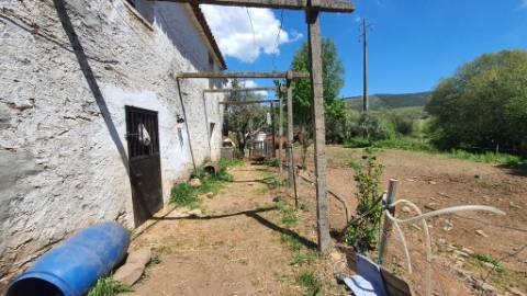 Quinta com casa de 3 assoalhadas no Pisão Novo, São Salvador da Aramenha