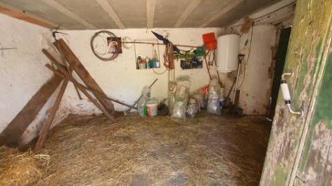 Quinta com casa de 3 assoalhadas no Pisão Novo, São Salvador da Aramenha