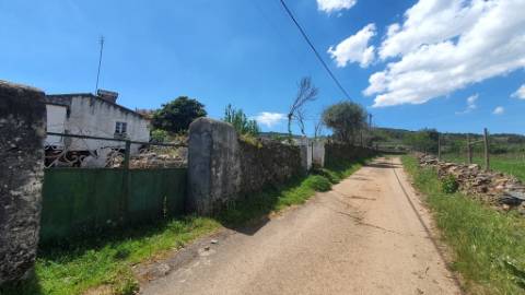 Quinta com casa de 3 assoalhadas no Pisão Novo, São Salvador da Aramenha