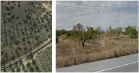 Terreno Urbano em Tavira com projeto aprovado