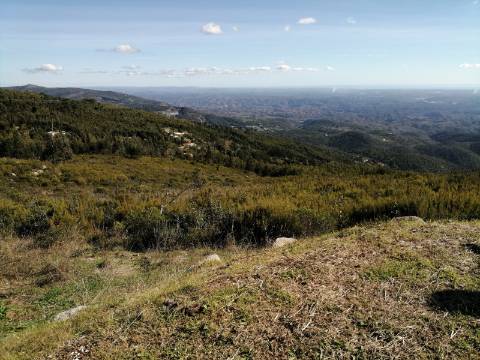 Terreno com uma área total de 9,688 Ha, paisagem deslumbrante (Miradouro Fonte Santa) e com viabilidade de construção de complexo Turístico 5*