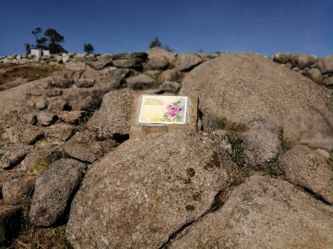 Terreno com uma área total de 9,688 Ha, paisagem deslumbrante (Miradouro Fonte Santa) e com viabilidade de construção de complexo Turístico 5*