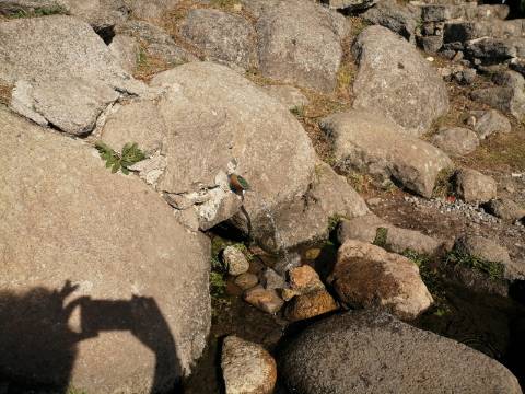 Terreno com uma área total de 9,688 Ha, paisagem deslumbrante (Miradouro Fonte Santa) e com viabilidade de construção de complexo Turístico 5*