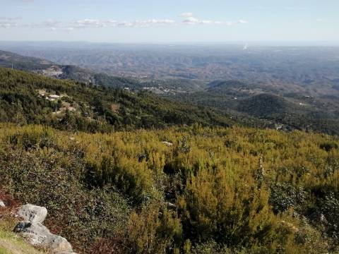 Terreno com uma área total de 9,688 Ha, paisagem deslumbrante (Miradouro Fonte Santa) e com viabilidade de construção de complexo Turístico 5*