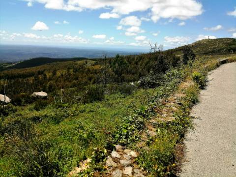 Terreno com uma área total de 9,688 Ha, paisagem deslumbrante (Miradouro Fonte Santa) e com viabilidade de construção de complexo Turístico 5*