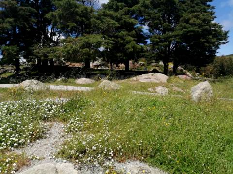 Terreno com uma área total de 9,688 Ha, paisagem deslumbrante (Miradouro Fonte Santa) e com viabilidade de construção de complexo Turístico 5*