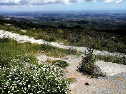 Terreno com uma área total de 9,688 Ha, paisagem deslumbrante (Miradouro Fonte Santa) e com viabilidade de construção de complexo Turístico 5*