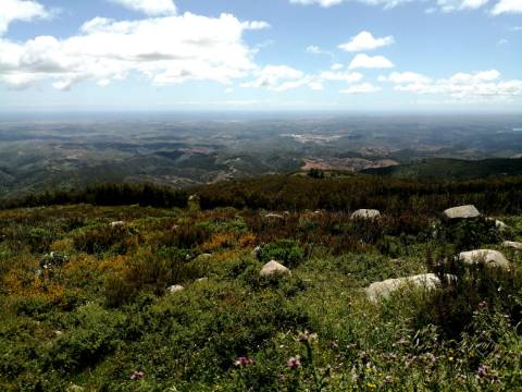 Terreno com uma área total de 9,688 Ha, paisagem deslumbrante (Miradouro Fonte Santa) e com viabilidade de construção de complexo Turístico 5*