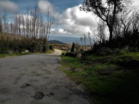 Terreno Misto com 11,53 Ha, localizado no cume da Picota e com viabilidade de construção de Resort Turístico luxo e/ou Teleférico com Restaurante Panorâmico