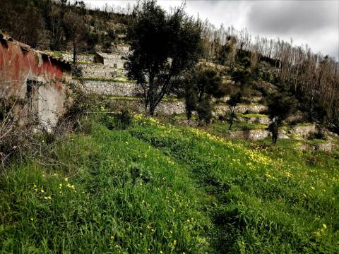 Terreno Misto com 11,53 Ha, localizado no cume da Picota e com viabilidade de construção de Resort Turístico luxo e/ou Teleférico com Restaurante Panorâmico