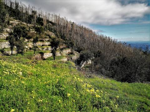 Terreno Misto com 11,53 Ha, localizado no cume da Picota e com viabilidade de construção de Resort Turístico luxo e/ou Teleférico com Restaurante Panorâmico