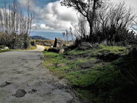 Terreno Misto com 11,53 Ha, localizado no cume da Picota e com viabilidade de construção de Resort Turístico luxo e/ou Teleférico com Restaurante Panorâmico
