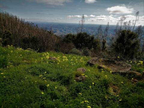 Terreno Misto com 11,53 Ha, localizado no cume da Picota e com viabilidade de construção de Resort Turístico luxo e/ou Teleférico com Restaurante Panorâmico
